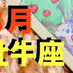 【牡牛座8月】おうし座さんに大切なメッセージが届いています！ぜひ最後までご覧ください！【タロットカードリーディング】