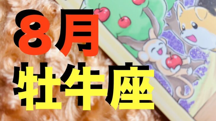 【牡牛座8月】おうし座さんに大切なメッセージが届いています！ぜひ最後までご覧ください！【タロットカードリーディング】