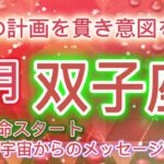 [双子座8月]♊️自分の計画を貫き、意図を信頼する時[宇宙からのメッセージ]￼