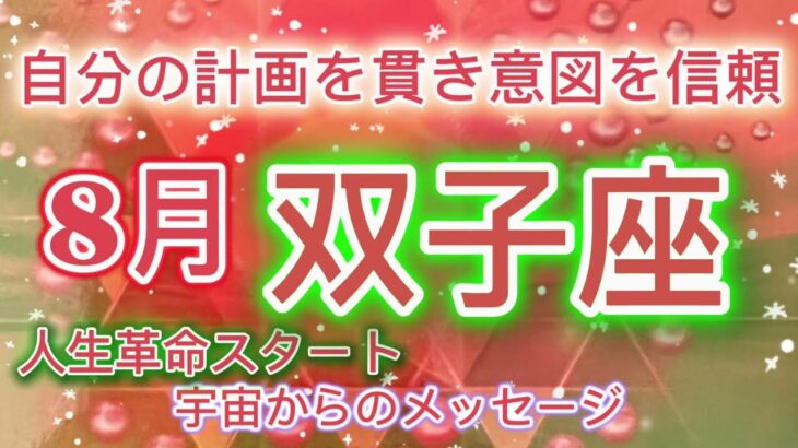 [双子座8月]♊️自分の計画を貫き、意図を信頼する時[宇宙からのメッセージ]￼