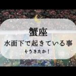 【蟹座】【準備完了】水面下ではすごいことになってます😮