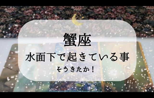 【蟹座】【準備完了】水面下ではすごいことになってます😮