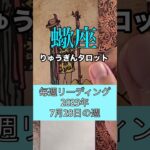 蠍座の2025年7月28日の週のリーディング#りゅうぎんタロット #占い #蠍座