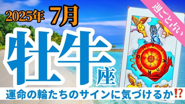 【牡牛座7月】神からのサインに気づいて‼️🧚情報戦を制して勝利を掴むあなたに、運命の輪たちが味方する❤️🎊✨🔮🧚タロット&オラクル《週ごと》