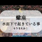 【蠍座】【準備完了】水面下ではすごいことになってます😮
