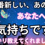 【甘え、心配、決断】今一番新しいあの人のあなたへの気持ちです。恋愛タロット占い❤️｜ルノルマン｜オラクルカード細密リーディング