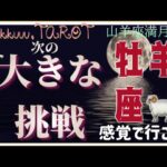 メッセージがたくさん来るよ💌牡羊座♈️さん【山羊座満月🌕〜あなたの次に来る大きな挑戦って何⁉️】#2025 #タロット占い #星座別