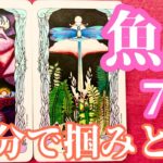 魚座7月｜心から安心して輝ける場所