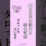 【10日以内に訪れる恋の奇跡】タロットで占います💫#shorts #占い #tarotreading #オラクルカード #あなたへのメッセージ#相手の本音 #tarot #恋愛#未来