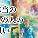 本当のあの人の想い【恋愛💖タロット】