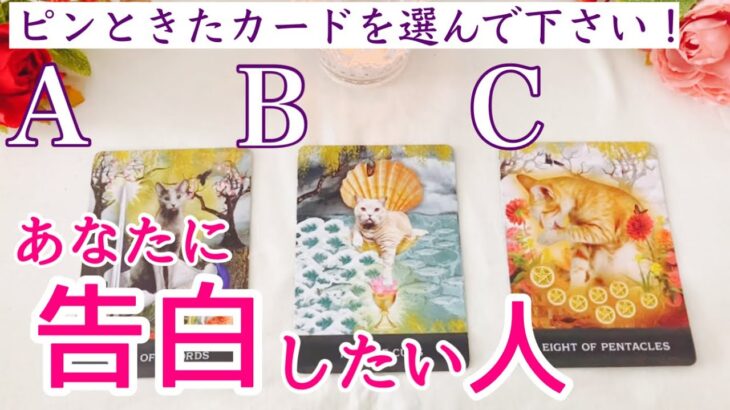 あなたに告白したい人🌟イニシャル🩷タロット、タロット占い、恋愛
