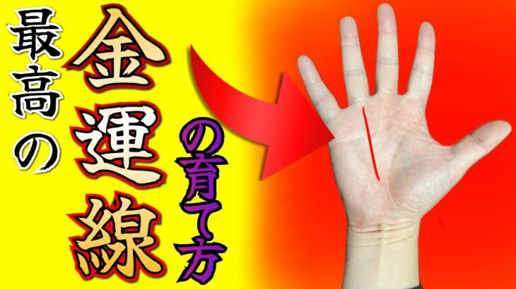 【手相】巨万の富が得られる手相の育て方✨
