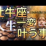 牡牛座🪐【自由になり大変容が来た🌺】新しい旅が始まる‼️もっと自由になる😊縛りからの解放で魅力の開花始まる🎇個人鑑定級先読み深掘りリーディング#ハイヤーセルフ#潜在意識#牡牛座