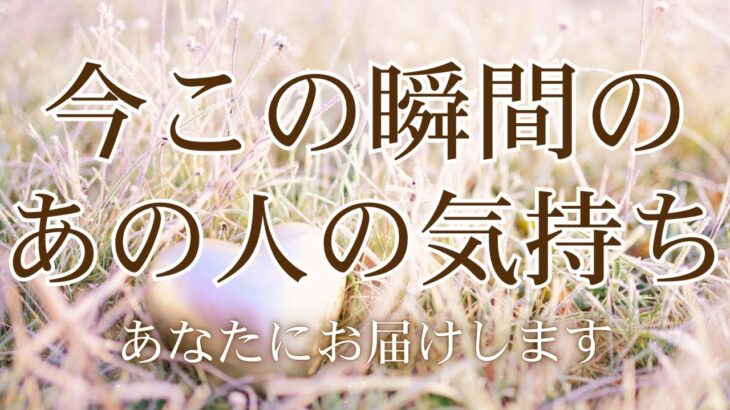 今この瞬間の、あの人の気持ち 【 恋愛 タロット オラクル カード 占い】
