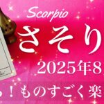 【さそり座】2025年8月♏️ さそり座さん…しんどいのはもう終わり！こんなに晴々、すっきりと沼から抜ける、朝日が差し込み一気に好転