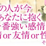 🔮恋愛タロット🌈あの人が今、あなたに抱く一番強い感情は、愛情 or 友情 or 性欲❔🌈お相手の隠れた本心が明らかに⁉️深掘りリーディング❗複雑恋愛・三角関係・音信不通・疎遠・片思い・曖昧な関係等…💗