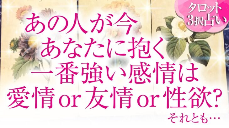 🔮恋愛タロット🌈あの人が今、あなたに抱く一番強い感情は、愛情 or 友情 or 性欲❔🌈お相手の隠れた本心が明らかに⁉️深掘りリーディング❗複雑恋愛・三角関係・音信不通・疎遠・片思い・曖昧な関係等…💗