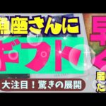 【魚座】あなたに早く届けたいギフト🕊✨️🪷▼タロットカード&オラクルカード&ルノルマンカード占い