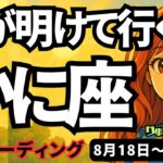 【蟹座】♋️2025年8月18日の週♋️夜が明けて行く時、一つ一つ、日々が豊かになって行く。かに座。タロットリーディング