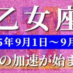 乙女座 タロット 【 おとめ座 ♍ 】週間リーディング( 2025年 9月1日の週) 急展開！奇跡の大逆転で運命が動く週✨乙女座の幸運が止まらない週✨🔑 乙女座 2025年9月 タロット占い
