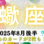 【さそり座8月後半】㊗️あのカードが2枚もっ😍🙌🏻〇〇することがポイント💃🕺たっぷりの愛で包まれる🩷🤍🩵