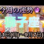 獅子座♌️さん⭐️9月1日(月)〜9月7日(日)🔮お仕事運が最高な1週間‼️願いが叶うカードも出た🌈