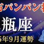【水瓶座】2025年9月のみずがめ座の運勢～財布パンパン状態～
