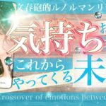 【辛口まさかの神展開⁉︎】相手の真実を文春砲！あの人の気持ちあなたの本音✈️ドンデン返し！思いがけない展開です！交差するふたりの事情　ルノルマン【タロット 恋愛 占い】No.607