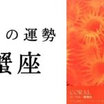 【蟹座🌷9月の運勢】ここから怒涛の快進撃が始まっていきます🌈✨ かに座の力はこんなもんじゃない❣️ 2025年タロット占い
