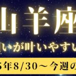山羊座♑️【願いが叶う予感✨でも裏に要注意‼️】