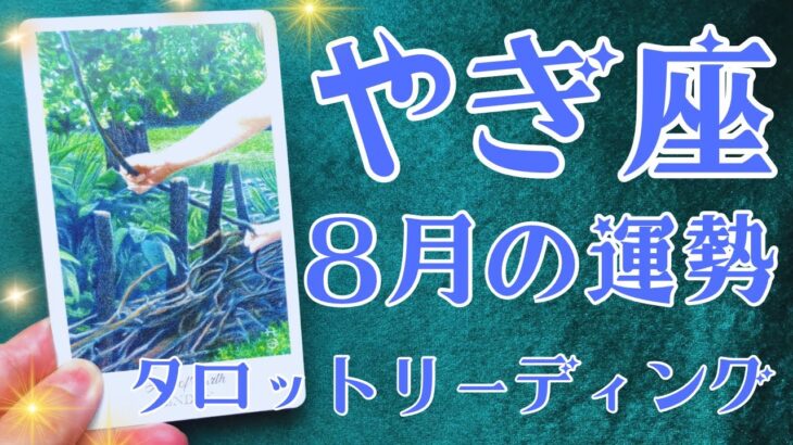 やぎ座さん♑️2025年8月の運勢タロットリーディング✨仕事運・金運・対人運も見ました✨