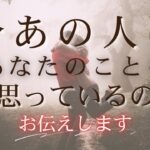 今あの人はあなたのことをどう思っているのか？あの人の気持ち、お伝えします✉️ 【 恋愛 タロット オラクル カード 占い 】