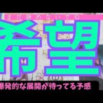 【蠍座】まだ希望はありますか？🌠諦めなくてもいい？▼タロットカード&オラクルカード&ルノルマンカード占い