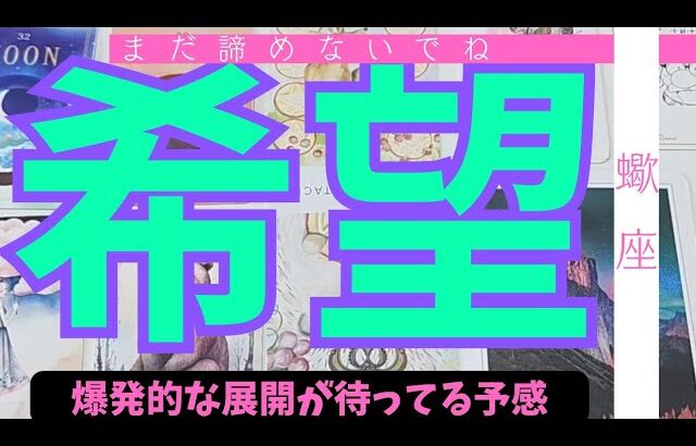 【蠍座】まだ希望はありますか？🌠諦めなくてもいい？▼タロットカード&オラクルカード&ルノルマンカード占い