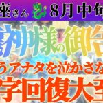【牡羊座♈8月中旬】苦しみを終わらせるッ！早く楽になりなさいッッッ！！✡️キャラ別鑑定付き✡️　#タロット占い