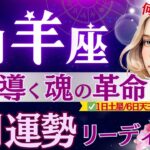 【山羊座】9月1日〜バシッと切り替わる『大転機』♑️全やぎ座さんへ朗報🌞秋分導く待望の1ヶ月きた/山羊座のこれからがおもしろい！【9月運勢/星読みタロット】