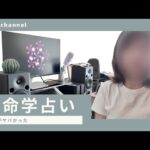【衝撃の結果】アラフォー独身が算命学占いを受けてみた｜私の未来どうなる？
