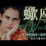 【チャンスを掴もう❣️受け取ろう🌈✨】蠍座さんの週間リーディング💫8月4日〜8月10日迄🌟未来へと繋がる日常を大切に💖