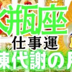 水瓶座さんの9月の仕事運をタロットカードとルノルマンカードで占いました🔮