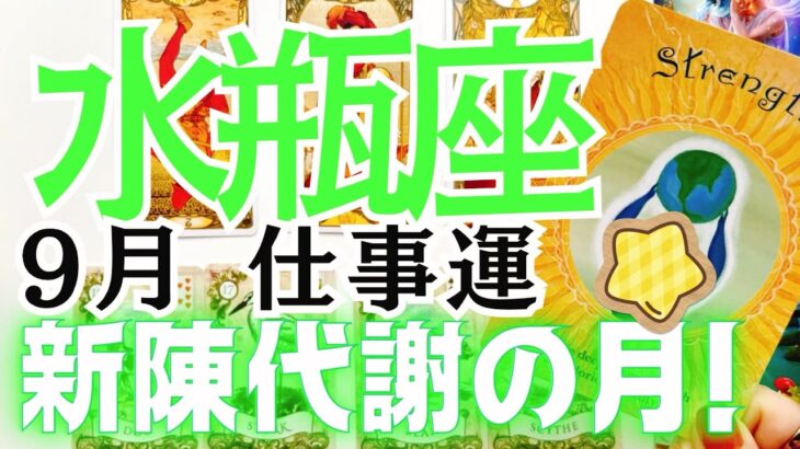 水瓶座さんの9月の仕事運をタロットカードとルノルマンカードで占いました🔮