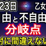 乙女座新月2025年8月23日【重要】人生を好転させる再調整のエネルギー！本音で生きる分岐点、選択と決断から逃げないで！【COCORO Platinum】
