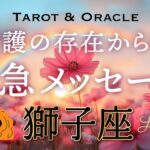 【獅子座♌️Loe】あなたを見護る存在から緊急です💌大切な方から重要なメッセージが来ています。タロット＆オラクル／tarot＆Oracle card reading