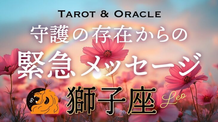 【獅子座♌️Loe】あなたを見護る存在から緊急です💌大切な方から重要なメッセージが来ています。タロット＆オラクル／tarot＆Oracle card reading