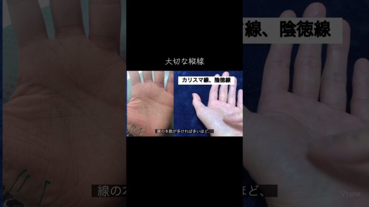 素晴らしい意味がある縦線 #手相 #占い