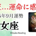 乙女座9月は仰天‼️運命に感謝✨夢見る未来へ着実な一歩、魂はドカンと成長♍️2025年9月運勢仕事恋愛人間関係【癒しのタロット個人鑑定級】