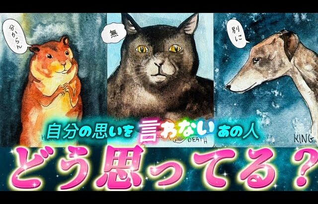 【ガチ透視】なぜ言わない⁉️私のことホントはどう思ってる？あの人が本音で語るあなたへの超正直な気持ち💗　透視タロット　個人鑑定級✨