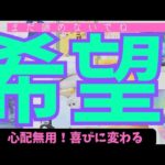 【乙女座】まだ希望はありますか？🌠諦めなくてもいい？▼タロットカード&オラクルカード&ルノルマンカード占い