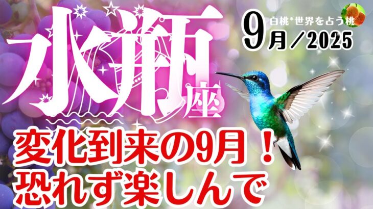 水瓶座♒️2025年9月☆変化到来の9月！恐れず楽しんで