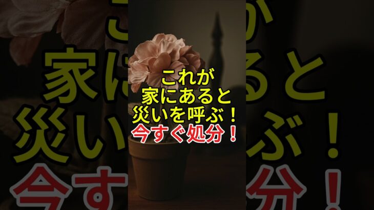 これが家にあると災いを呼ぶ！今すぐ処分！