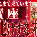 『8月5日までに見て！』やばいです…蟹座さん人生最大の転機きます。急に訪れるので覚悟してください【鳥肌級タロットリーディング】
